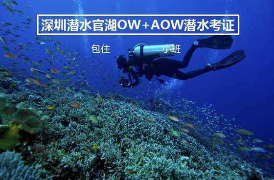 海岛大亨5